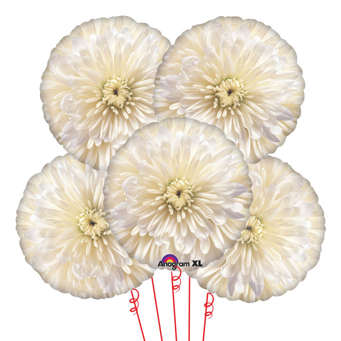 Букет Цветок Астра 