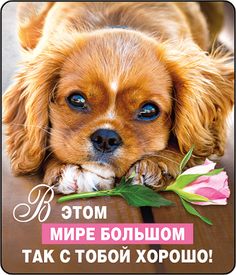 Магнит В этом мире большом... (серия 51.56.292) 1 шт Магнит В этом мире большом... (серия 51.56.292) 1 шт