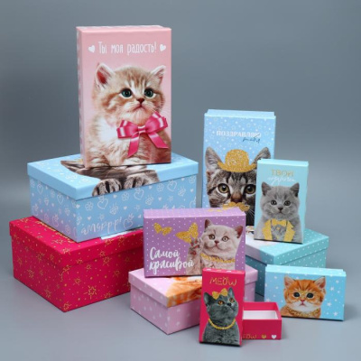 Коробка прямоуг Котики №7 24*15,5*9.5 см рис микс 1 шт